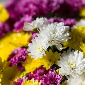 Bouquet 'Wind Music'