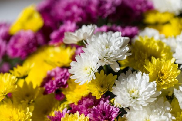 Bouquet 'Wind Music'